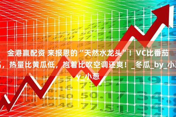 金港赢配资 来报恩的“天然水龙头”！VC比番茄高，热量比黄瓜低，抱着比吹空调还爽！_冬瓜_by_小葱