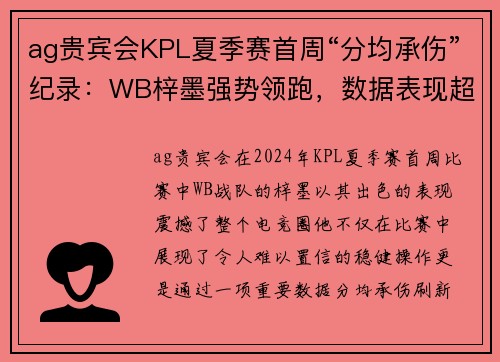 ag贵宾会KPL夏季赛首周“分均承伤”纪录：WB梓墨强势领跑，数据表现超群