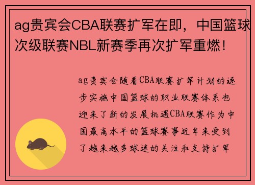 ag贵宾会CBA联赛扩军在即，中国篮球次级联赛NBL新赛季再次扩军重燃！ - 副本 (2)