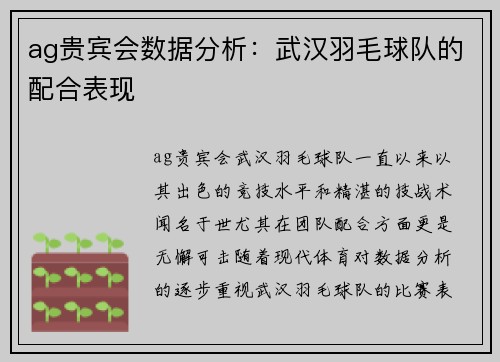 ag贵宾会数据分析：武汉羽毛球队的配合表现
